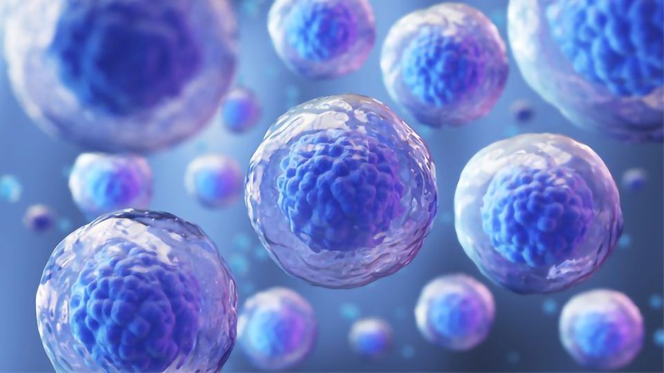 From Lab to Life: How Cell-Based Innovations Are Changing the Game