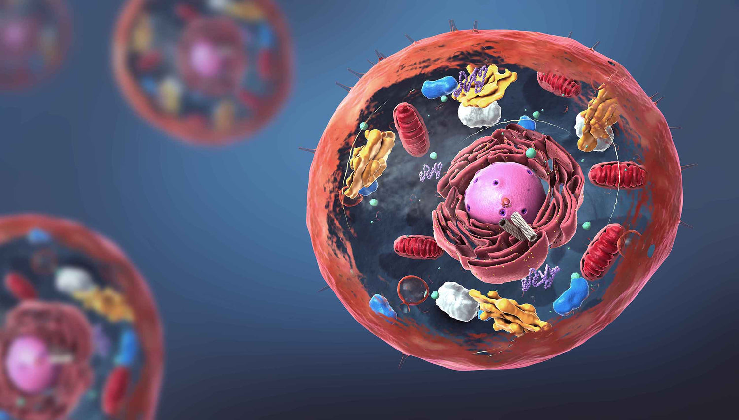 Can Your Cells Hold the Key to a Healthier You?