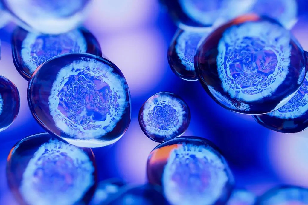 The Future of Renewal: Harnessing the Magic of Cellular Growth