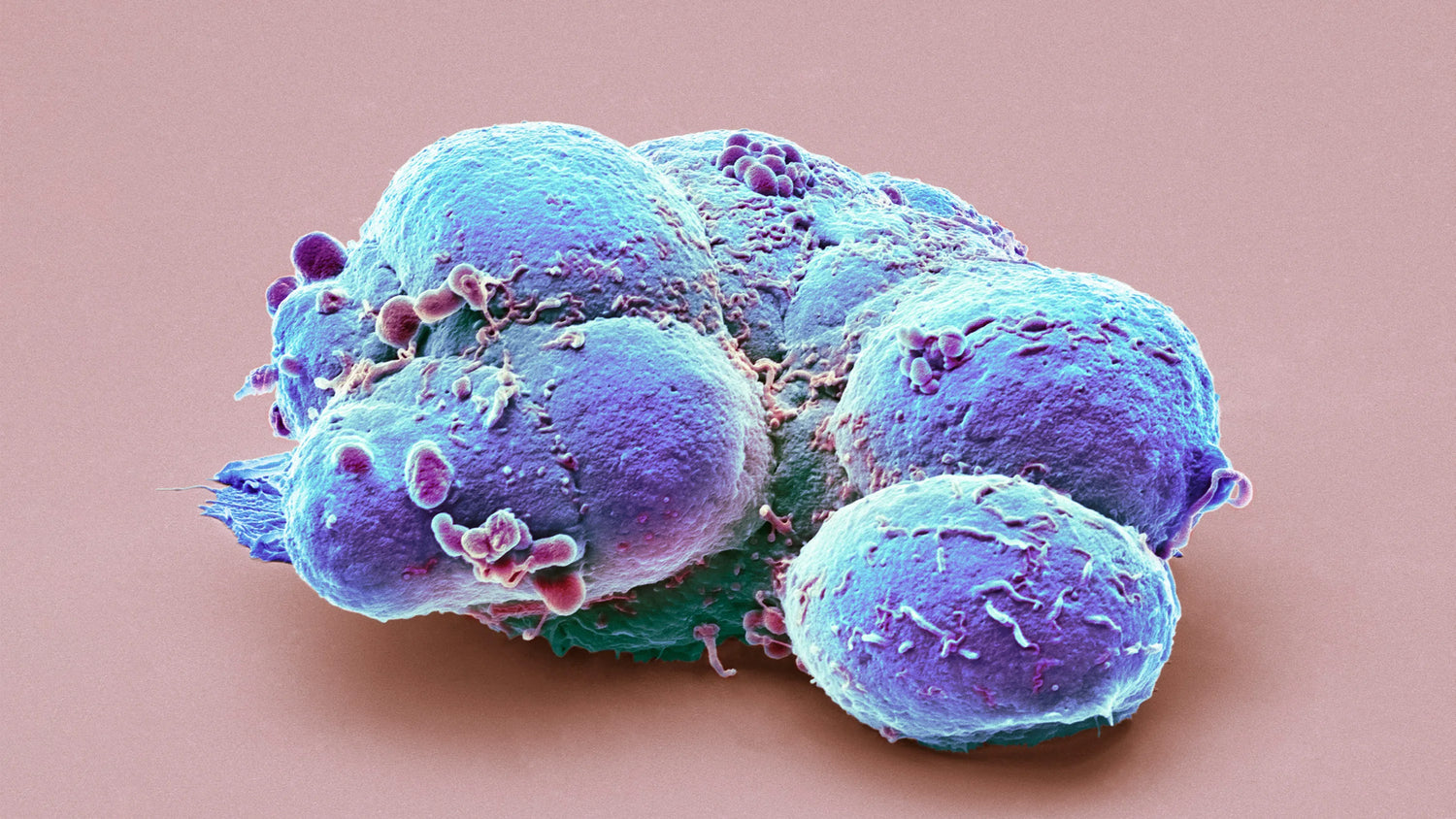 Diving into the Ethical Storm: Embryonic Stem Cells Unveiled