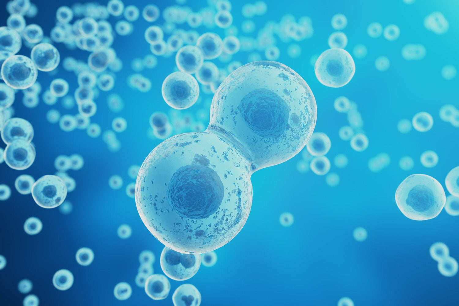 From Brain Fog to Breakthroughs: How Exosomes Are Rewriting the Story of Mental Health Disorders