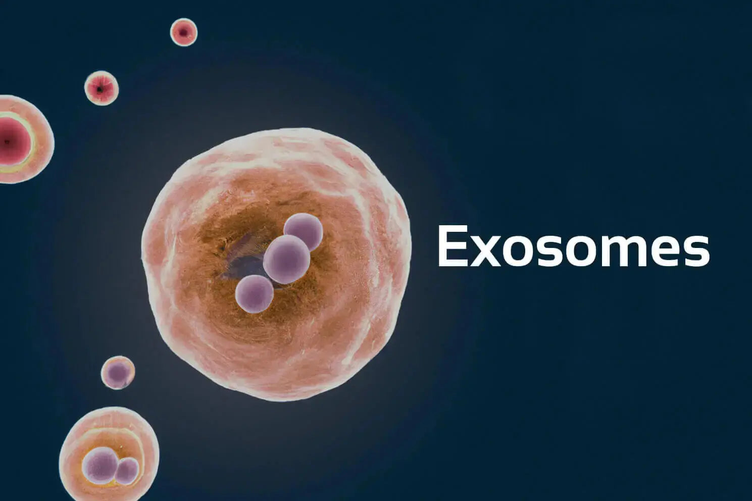 The Fascinating World of Exosomes and PRP: A New Frontier in Regenerative Science