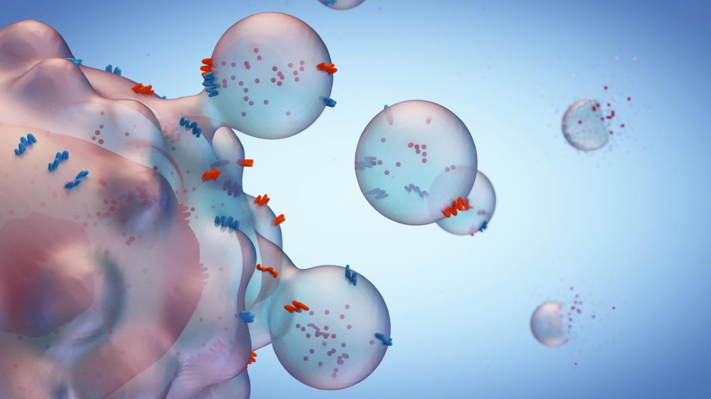 Unraveling the Enigma of Exosomes
