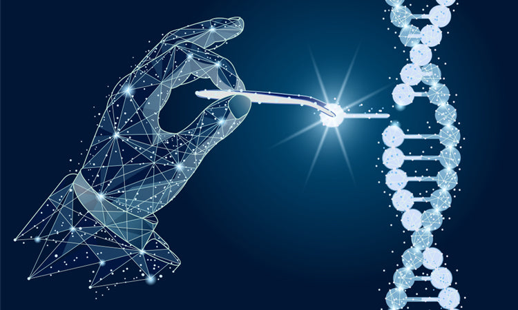 Gene Editing’s Impact on Regenerative Medicine Advancements