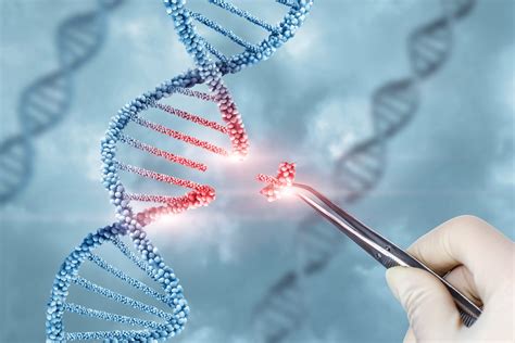 Revolutionizing Renewal: The Synergy of Gene-Editing and Stem Cells