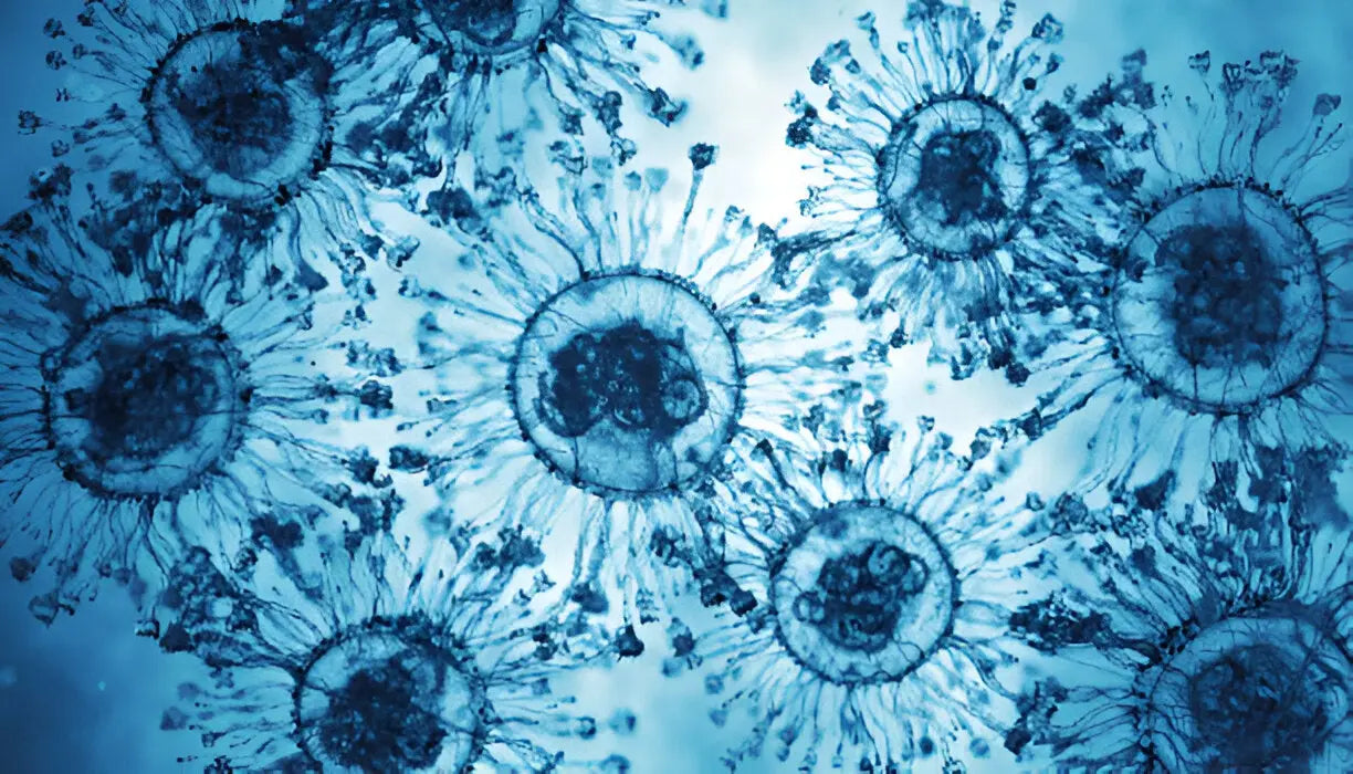 The Science Behind Growing New Tissues from Scratch