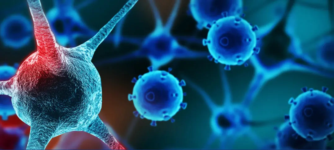 The Science Behind Staying Youthful with Your Own Cells