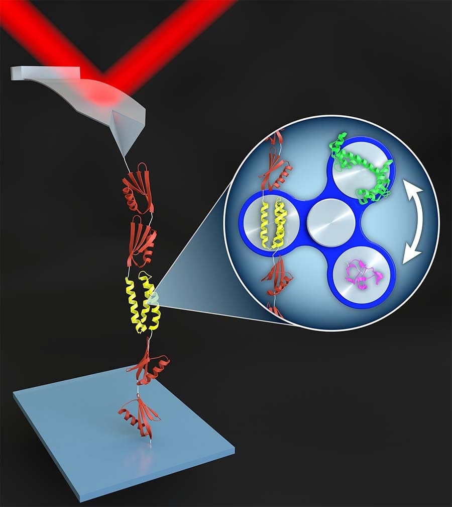 Unveiling the Dance of Forces: Mechanobiology Meets Stem Cells