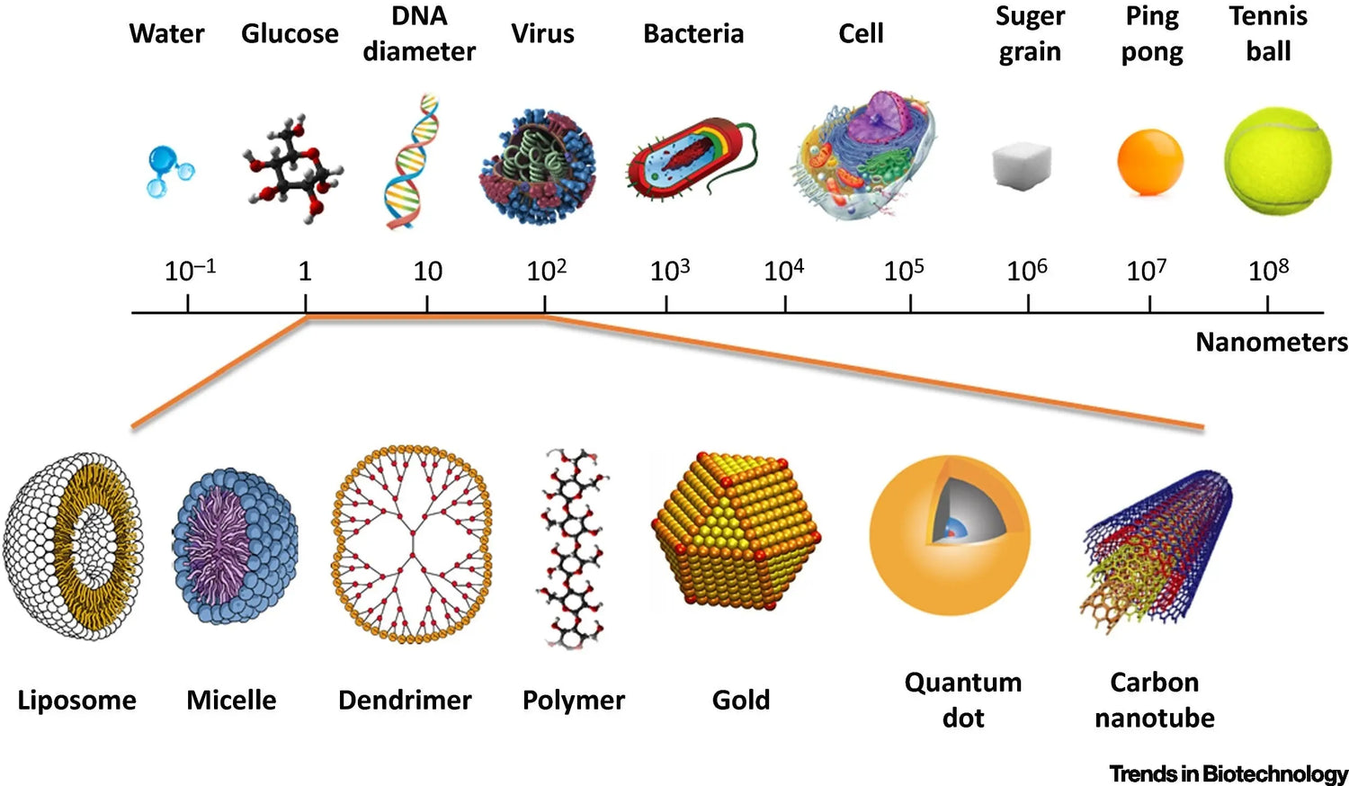 Unveiling the Nanoscale: The Essence of Small Units in Science