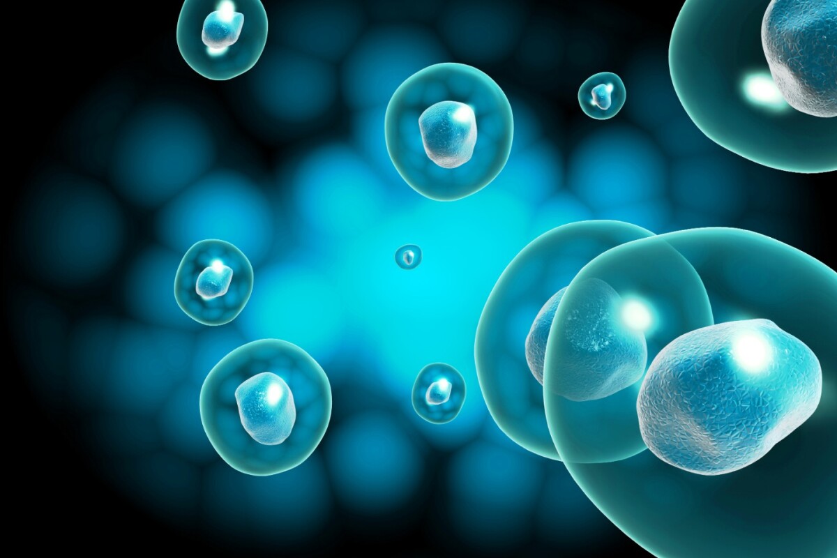Breakthroughs in Induced Pluripotent Stem Cells for Personalized Therapies