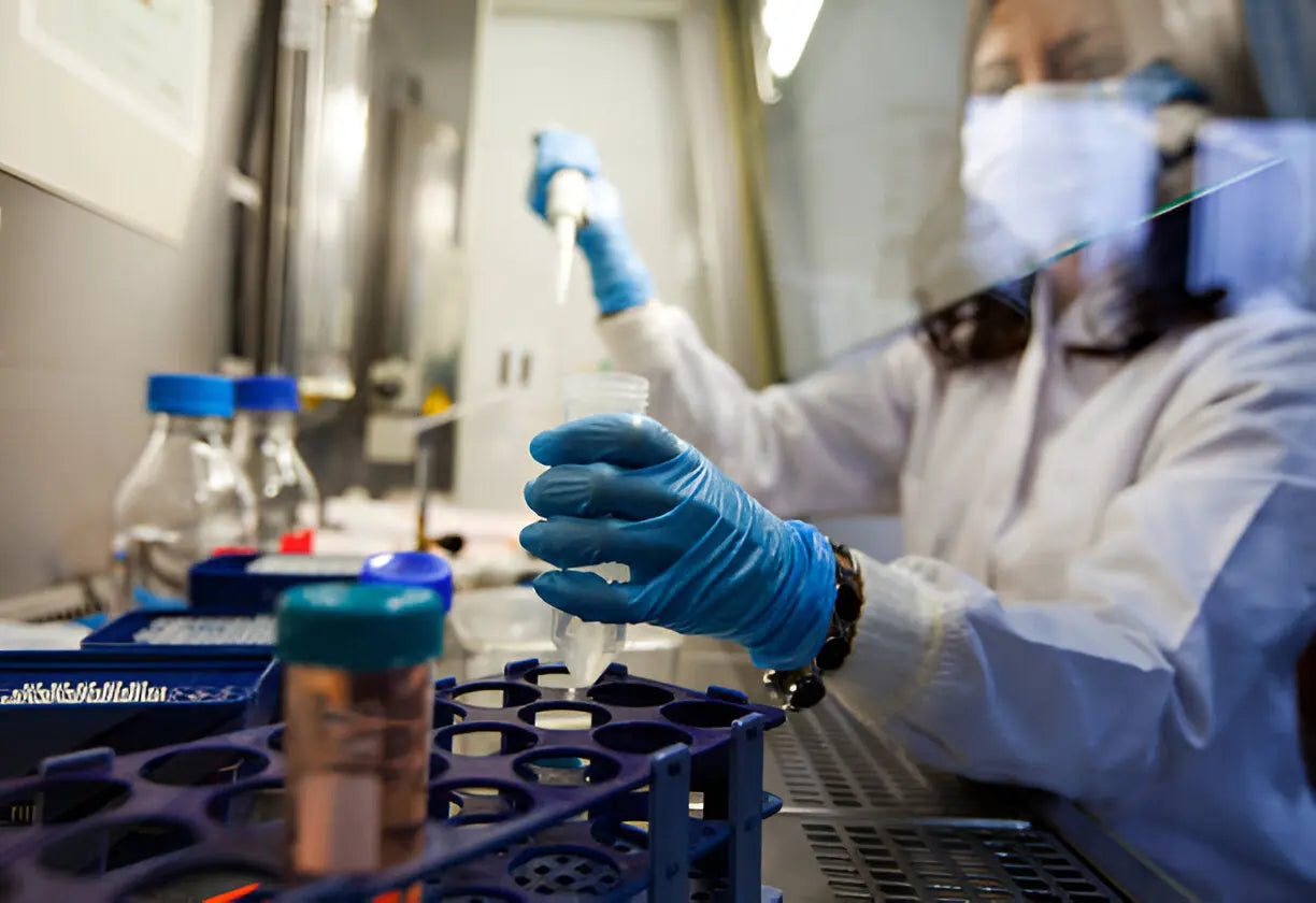 Nature’s Building Blocks: The Versatility of Stem Cells in Plants and Animals