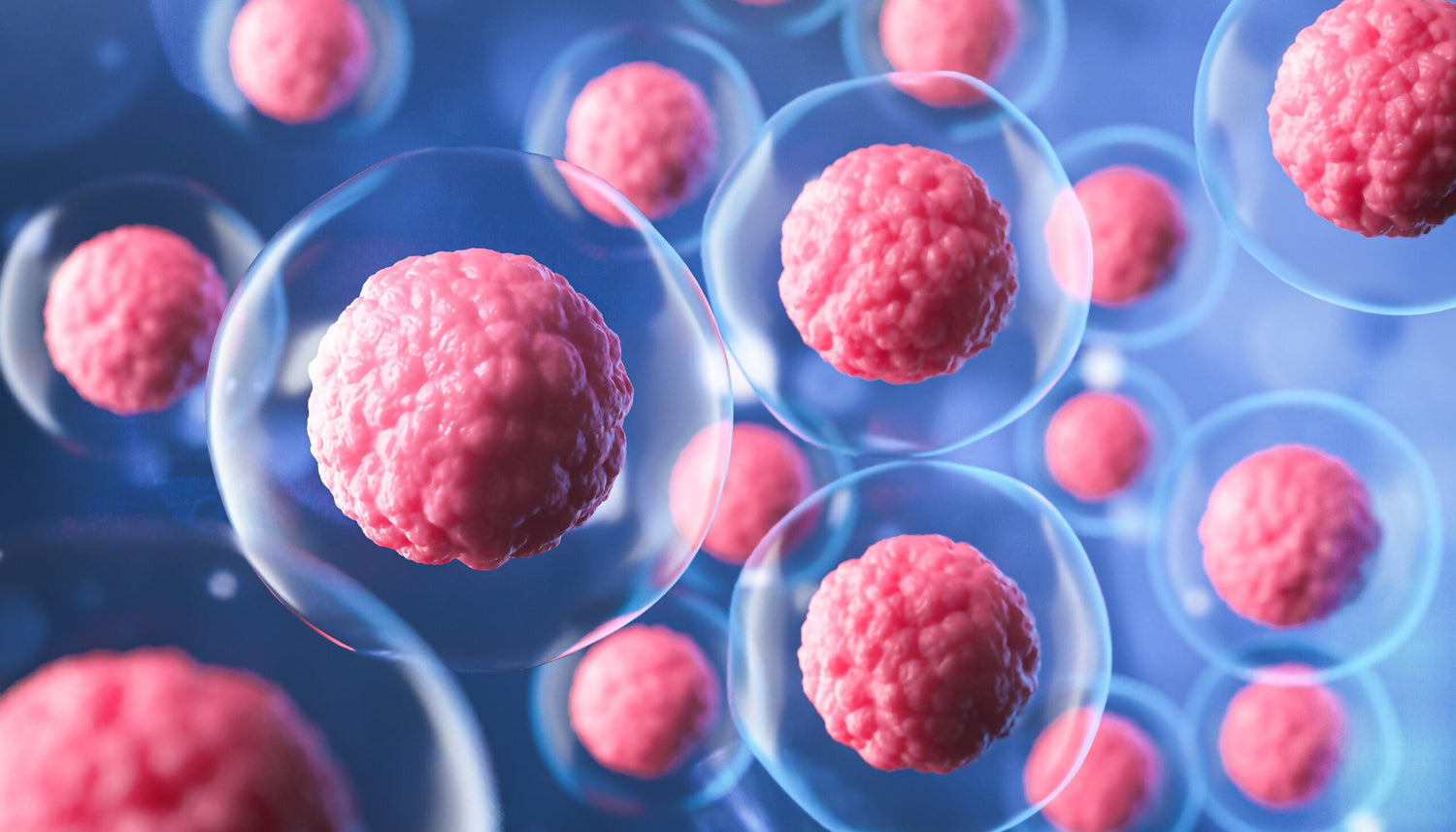 Revolutionizing Recovery: The Dawn of Stem Cell Therapy for TBI