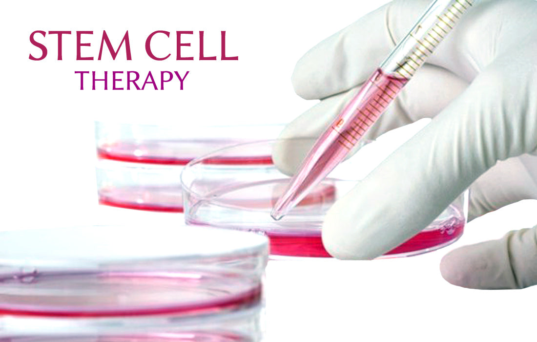 Cell Therapy: Revolutionizing Regenerative Medicine (2025)