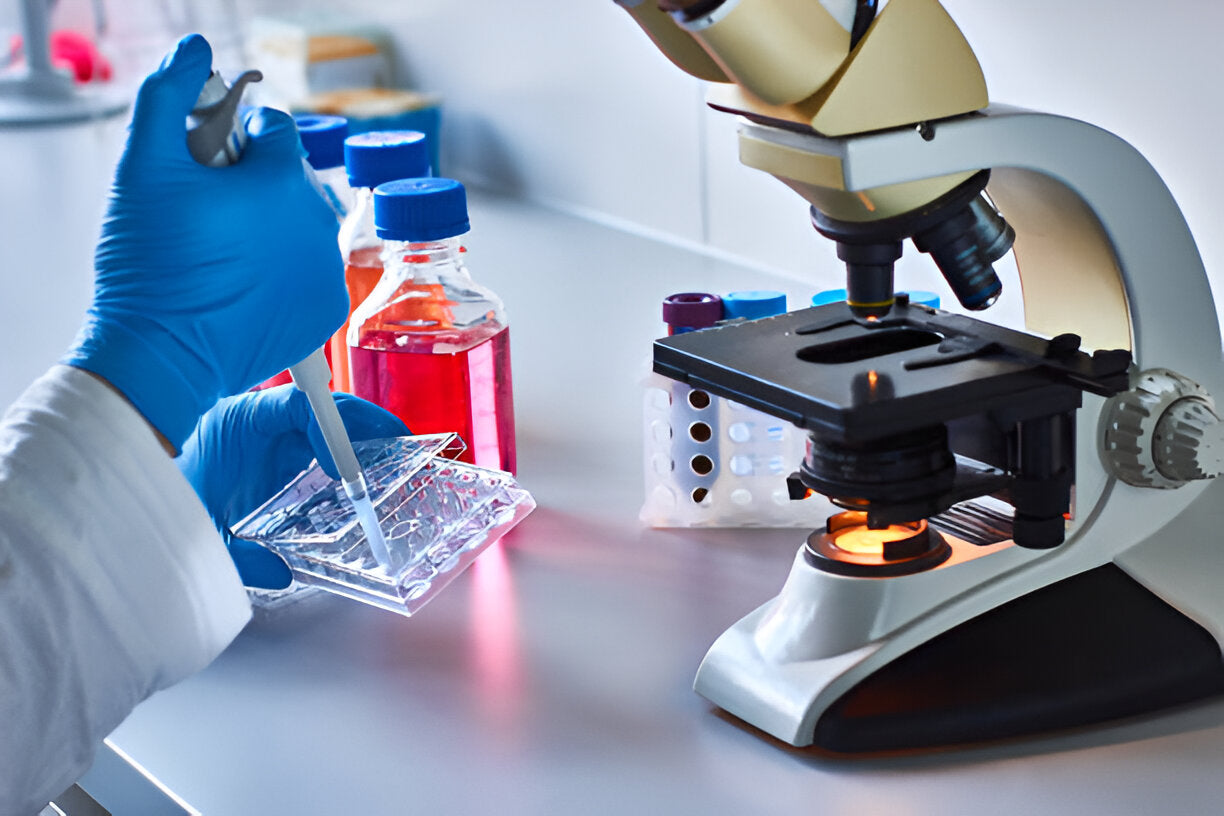 Diving into the Microscopic Realm