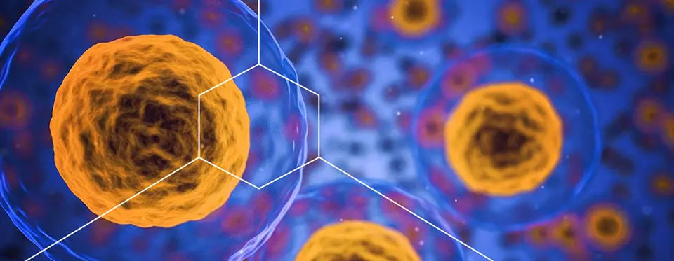 Exploring the Power of Tiny Building Blocks in Regenerating Life