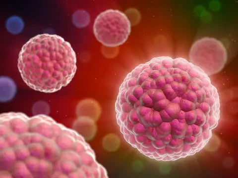 How Tiny Cells Could Lead to Big Breakthroughs in Wellness