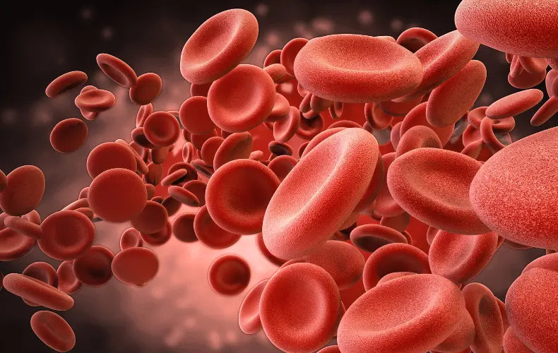 The Promise of UCT Cells: Why Umbilical Cord Tissue Is a Medical Goldmine