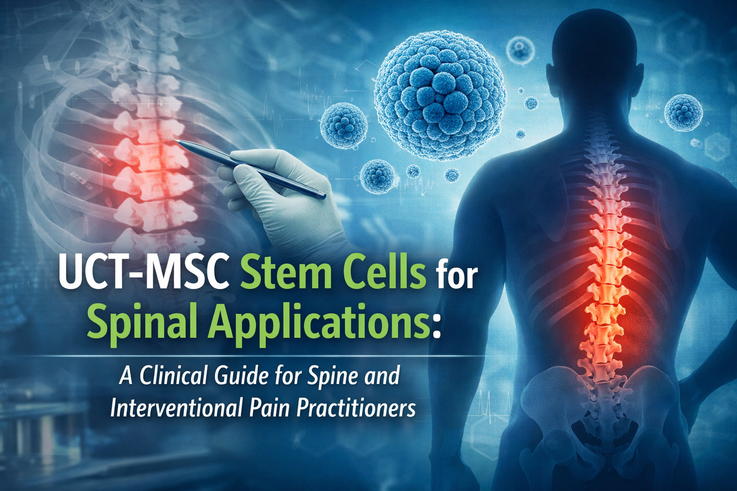 UCT-MSC stem cells for spinal applications with highlighted spine and regenerative medicine imagery