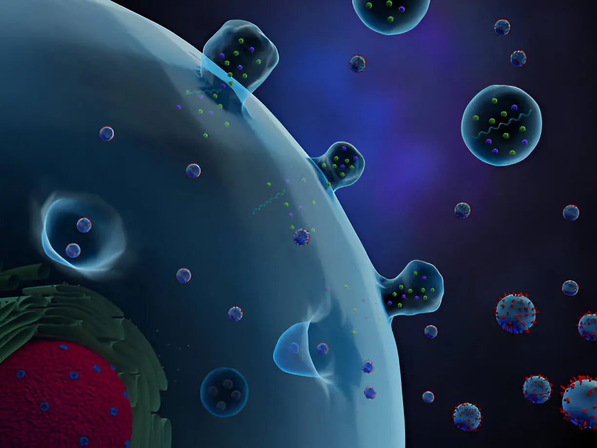Can Exosomes Replace Traditional Treatments? The Future of Precision Medicine