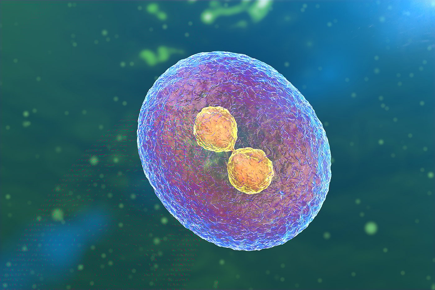 Unveiling the Power of Stem Cells in Modern Drug Innovation