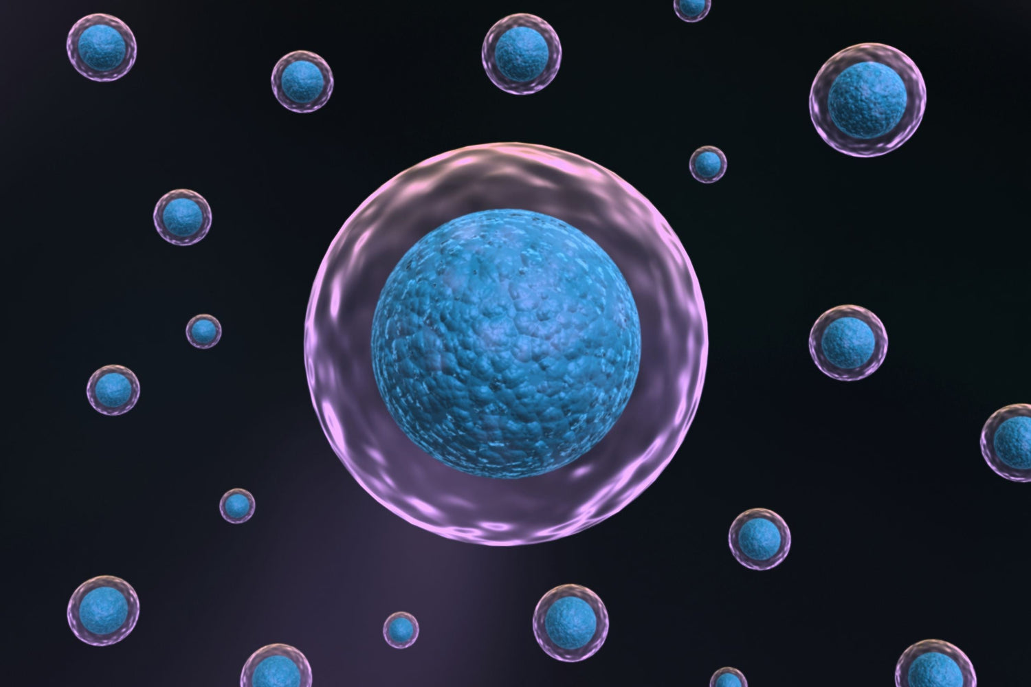 Unleashing Potential: The Rise of Stem Cell Startups